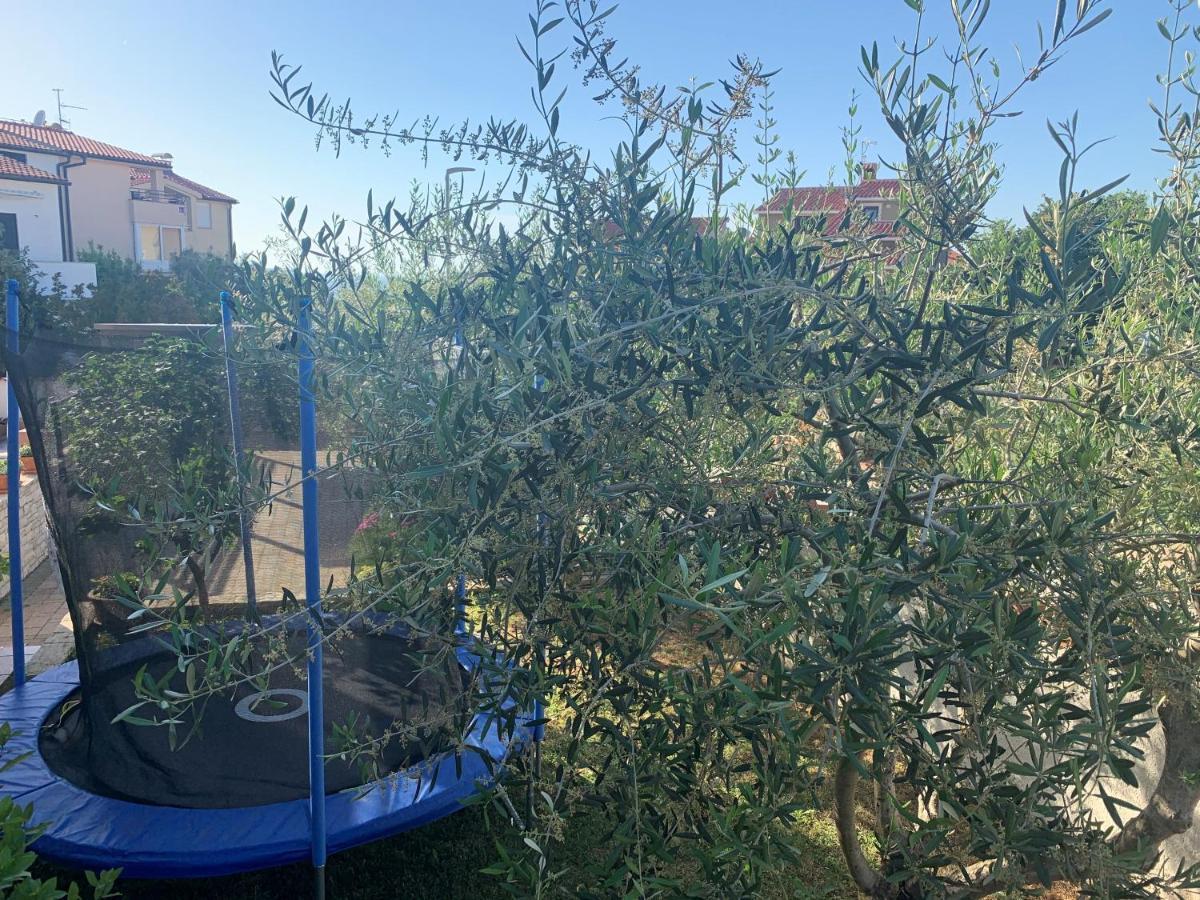Villa Ulika - 3 Apt For 4 Persons Pula Extérieur photo